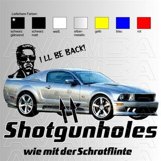 Shotgunholes - Einschusslöcher Schrotflinte