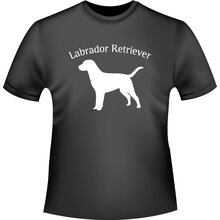 Labrador  Version 4